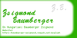 zsigmond baumberger business card